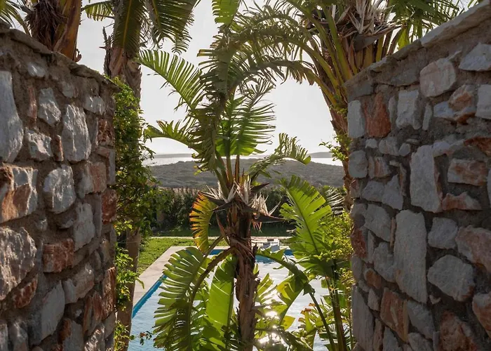 Franca Ideal For Wedding Parties *